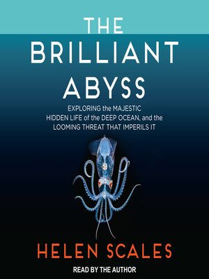 cover image of The Brilliant Abyss